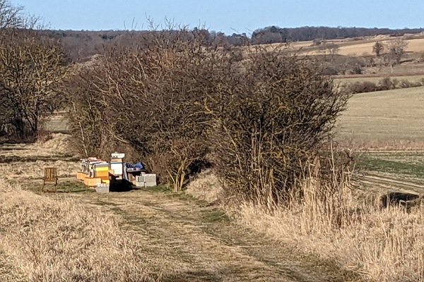 Landschaft mit Bienenstöcken