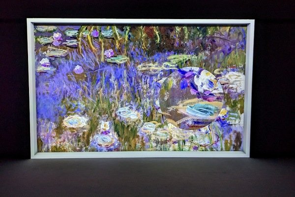 virtuelles Bild in der Asstellung "Monet's Garten"